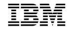 IBM Logo
